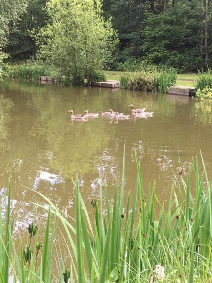 Hollicarrs Holiday Park - Hares Leap Riccall Exterior foto
